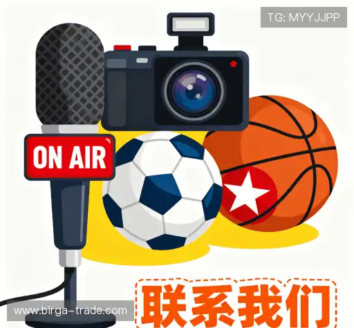 咨询定制